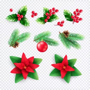 Hình ảnh đồ trang trí noel file vector mẫu BN308