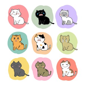 Bộ sưu tập hình ảnh những chú mèo cute file vector mẫu CM260