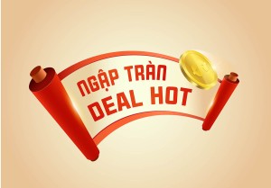 Banner ngập tràn deal hot thương mại điện tử file vector mẫu số 670