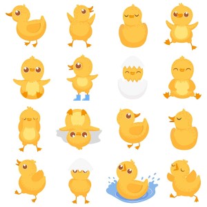 Hình minh họa vịt vàng cute file vector mẫu số 497