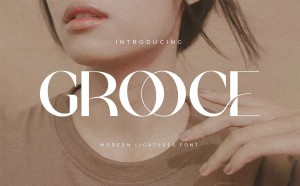 Font chữ sans serif hiện đại Việt hóa TH Grooce