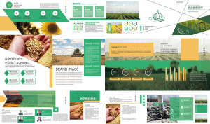 Catalog sản phẩn nông nghiệp hữu cơ số 4 file PSD
