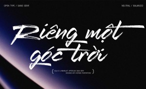 Phông chữ nét cọ tiếng Việt miễn phí SVN Redtowns