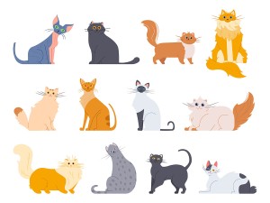 Hình ảnh những chú mèo cute file vector mẫu CM58