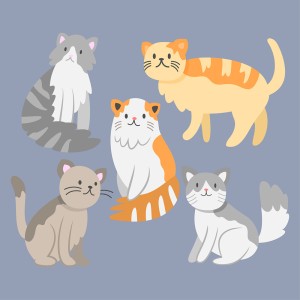 Bộ sưu tập hành động của chú mèo cute file vector mẫu CM200