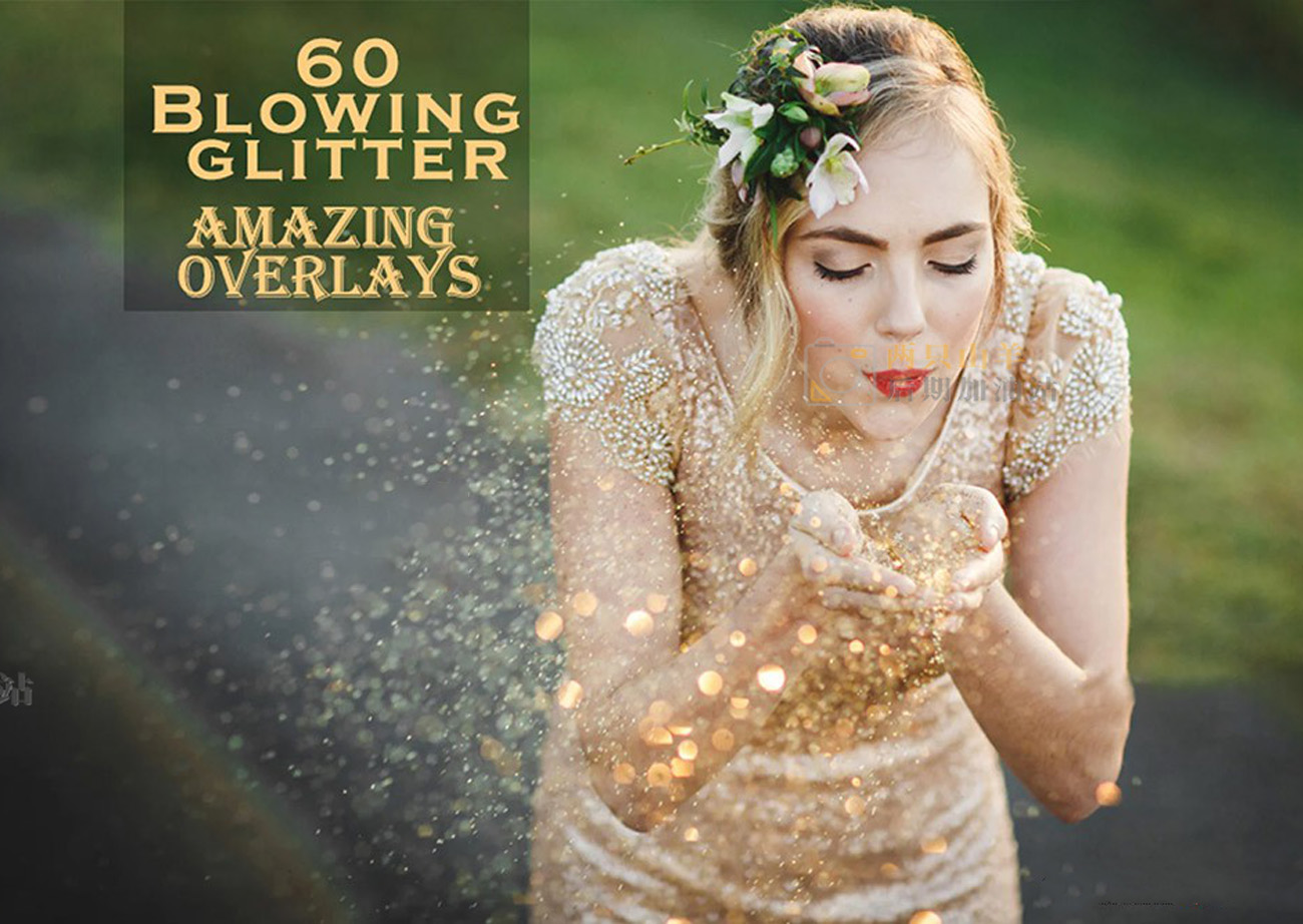 Gói 60 lớp phủ, chất liệu bụi vàng lấp lánh Blowing-Glitter-Photoshop-Overlays