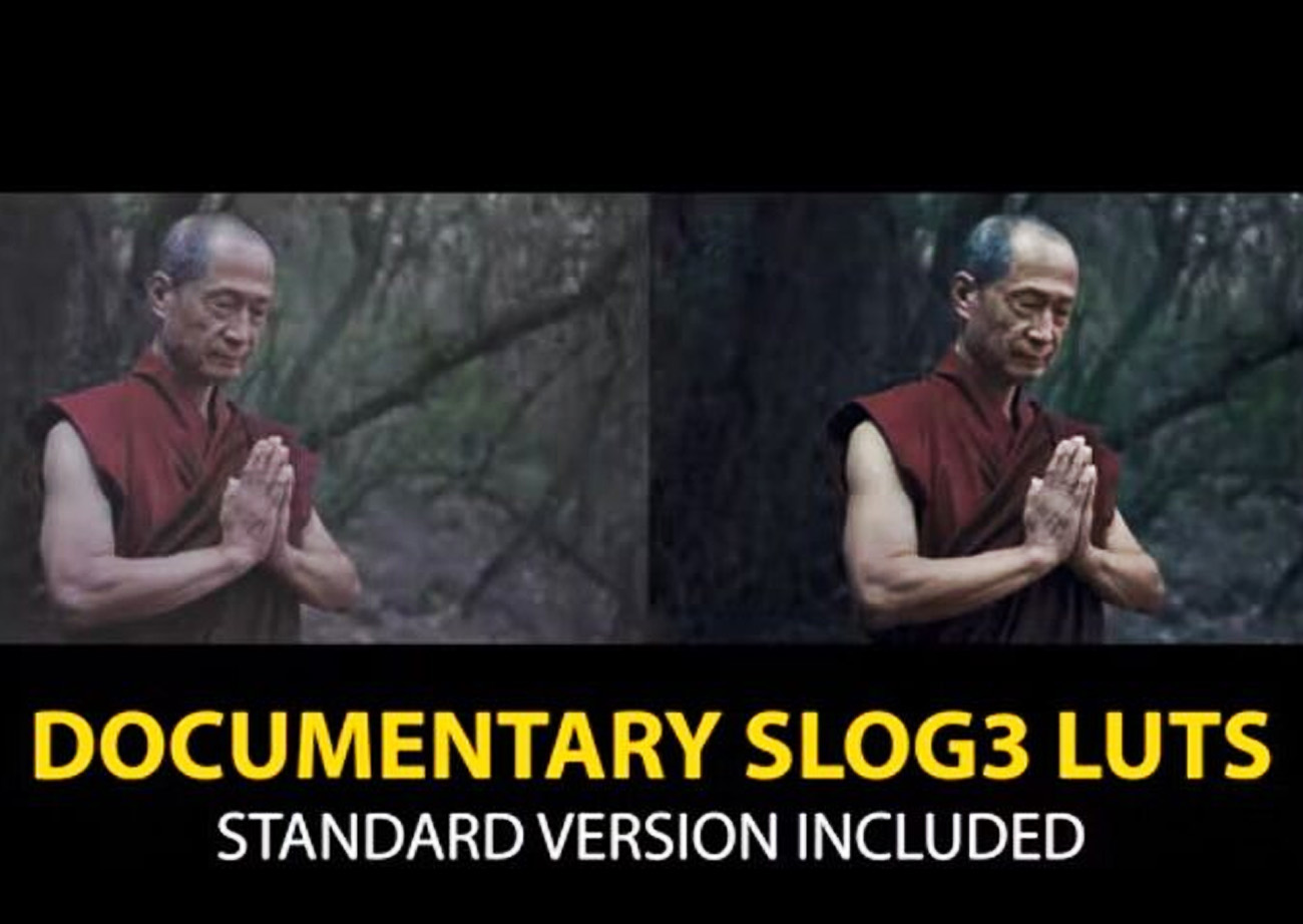 Mẫu lust màu phim tài liệu - Slog3 Documentary LUTs