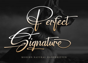 Font chữ viết tay, chữ ký mềm mại cho thiệp cưới, lễ cưới TH PerfectSignature Italic