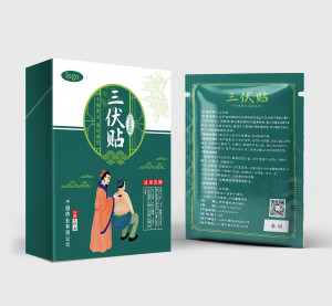 Bao bì vỏ hộp cao dán đau lưng mẫu 01 EPS