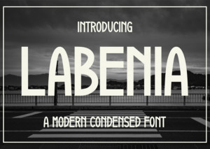 Font chữ TH LABENIA Việt hoá