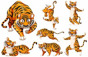 Bộ sưu tập hành động của chú hổ file vector mẫu CR1467