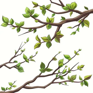 Cành Lá Xanh Tươi - Hình Minh Họa Vector EPS Độc Đáo