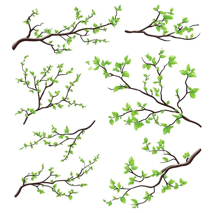 Cành Lá Xanh Tươi - Bộ Minh Họa Vector EPS Đa Dạng Cho Thiết Kế