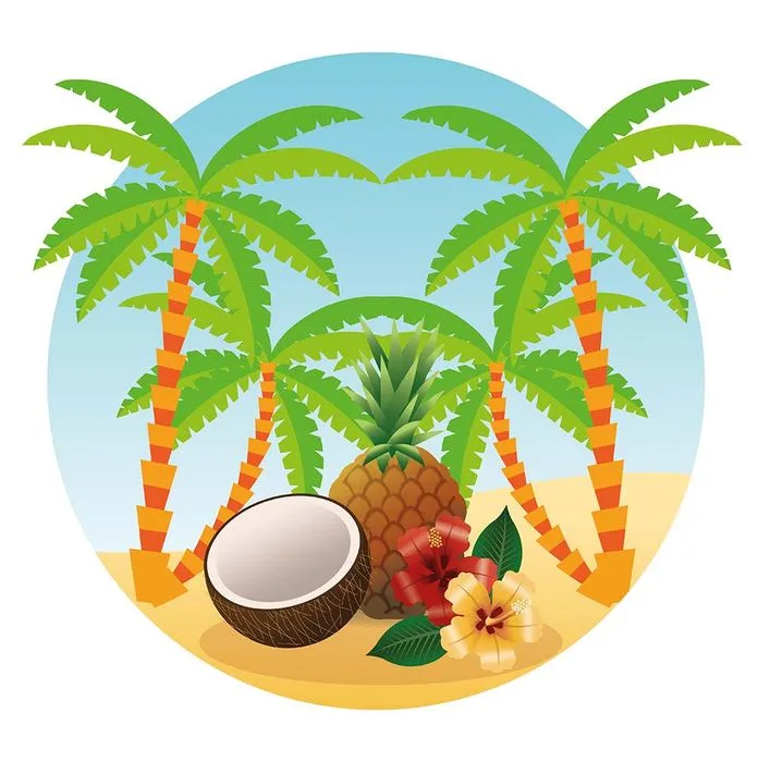 Hình ảnh cây dừa file vector mẫu KS615
