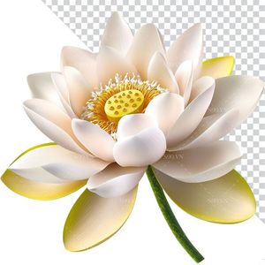 Hình ảnh bông hoa sen màu trắng file PNG mẫu CR1639