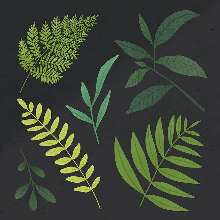 Cành Lá Xanh Tươi – Bộ Sưu Tập Minh Họa Vector Hiện Đại