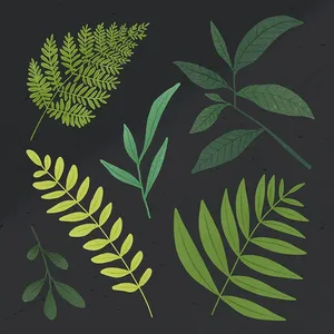 Cành Lá Xanh Tươi – Bộ Sưu Tập Minh Họa Vector Hiện Đại