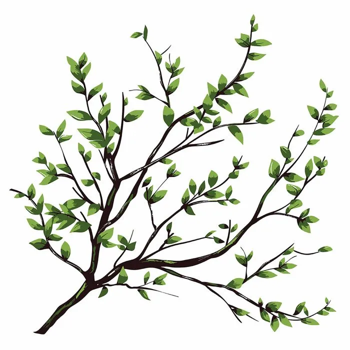 Cành Lá Xanh Tươi - Hình Minh Họa Vector EPS Đa Dụng