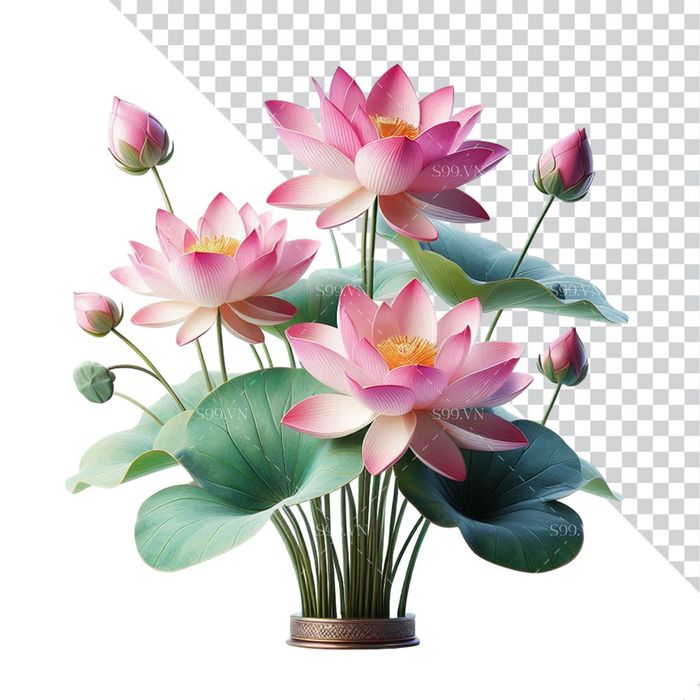 Hình ảnh bình hoa sen file PNG mẫu CR1641