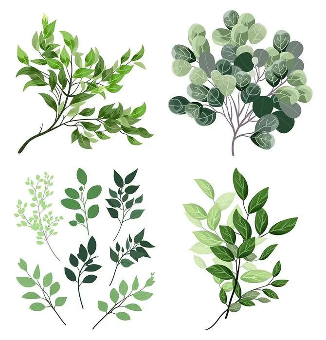 Cành Lá Xanh Tươi – Bộ Sưu Tập Hình Minh Họa Vector EPS Đa Dạng