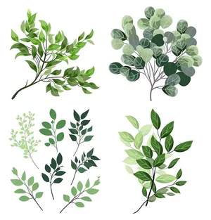 Cành Lá Xanh Tươi – Bộ Sưu Tập Hình Minh Họa Vector EPS Đa Dạng