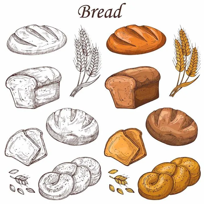 Bộ Sưu Tập Bánh Mì Minh Họa Vector EPS - Đồ Họa Nướng Cao Cấp