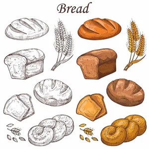 Bộ Sưu Tập Bánh Mì Minh Họa Vector EPS - Đồ Họa Nướng Cao Cấp