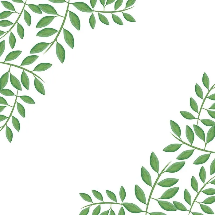 Cành Lá Xanh Tươi Trang Trí Viền - Vector Minh Họa EPS Đa Năng