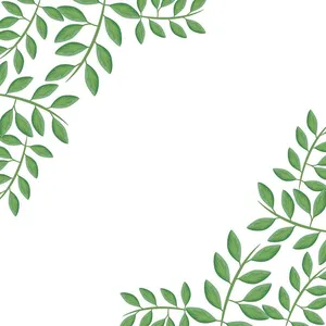 Cành Lá Xanh Tươi Trang Trí Viền - Vector Minh Họa EPS Đa Năng
