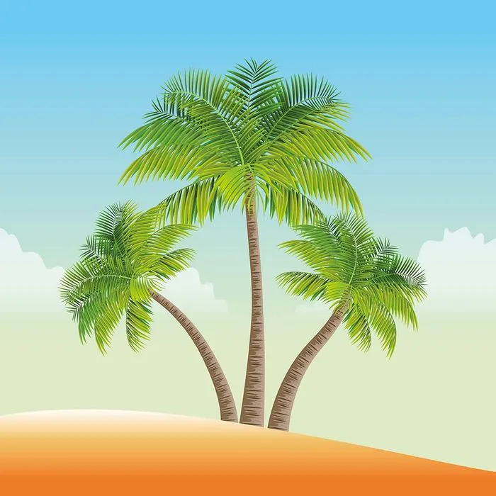Hình ảnh cây dừa trên bãi cát file vector mẫu KS666