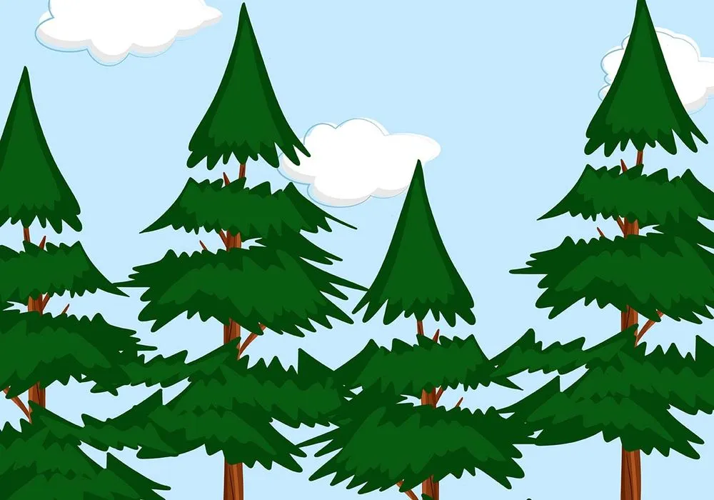Hình ảnh cây thông file vector mẫu KS727