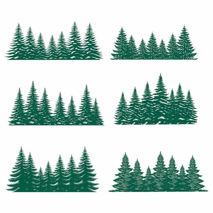 Hình ảnh cây thông file vector mẫu KS736