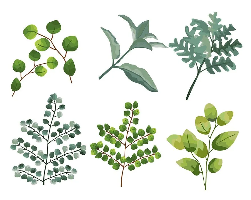 Cành Lá Xanh Tươi – Bộ Sưu Tập Vector Minh Họa Thực Vật EPS