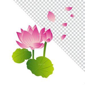 Hình ảnh bông hoa sen cùng lá sen file PNG mẫu CR1637