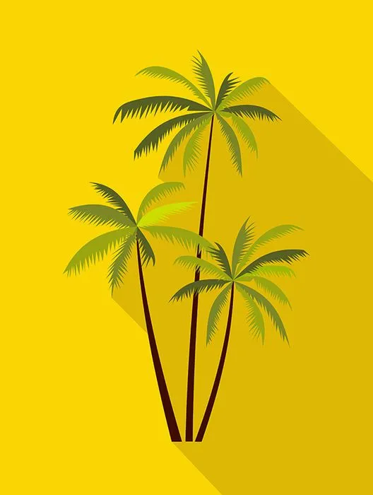 Hình ảnh cây dừa file vector mẫu KS625