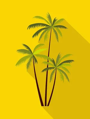 Hình ảnh cây dừa file vector mẫu KS625