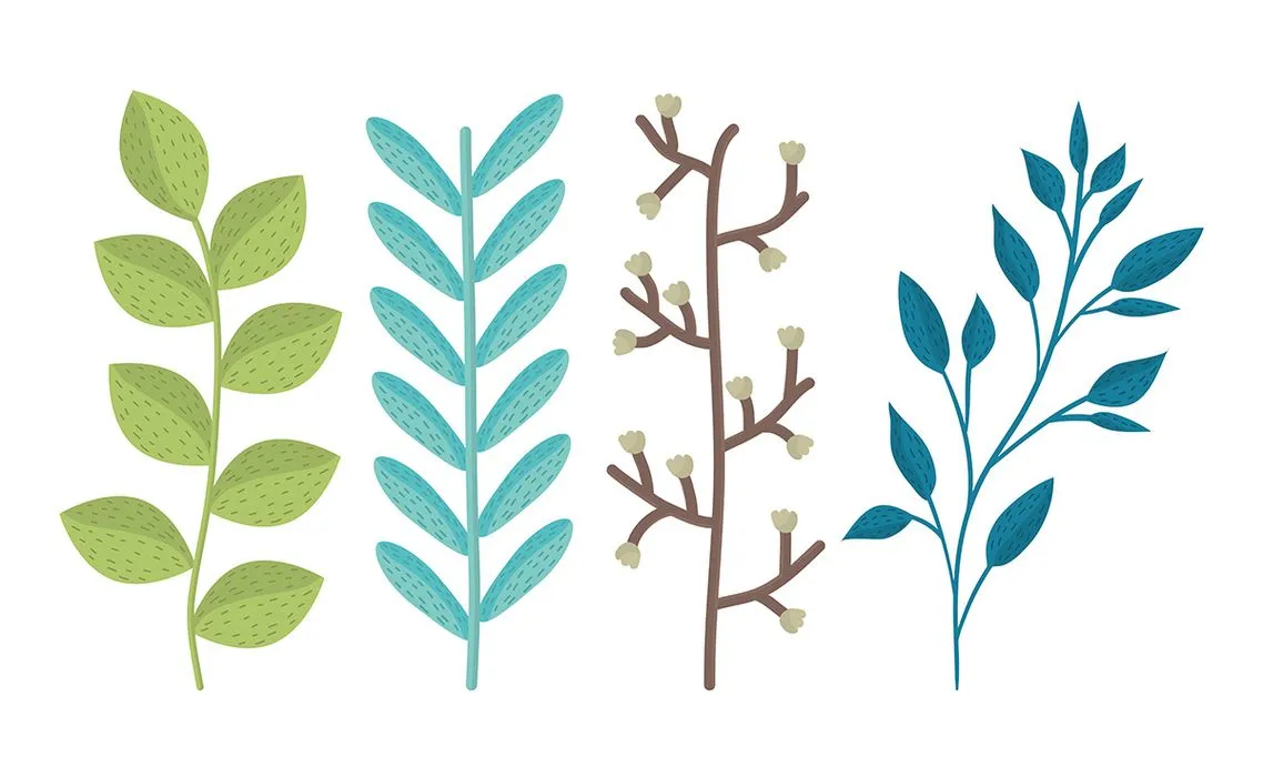 Cành Lá Minh Họa Đa Dạng - File Vector EPS Cao Cấp cho Thiết Kế