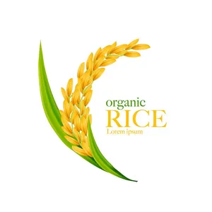 Hình ảnh bông lúa file vector mẫu KS903