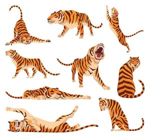 Bộ sưu tập hành động của chú hổ file vector mẫu CR1499