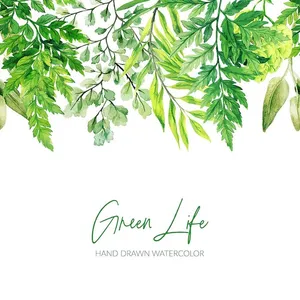 Cành Lá Xanh Tươi - Minh Họa Màu Nước EPS Chất Lượng Cao