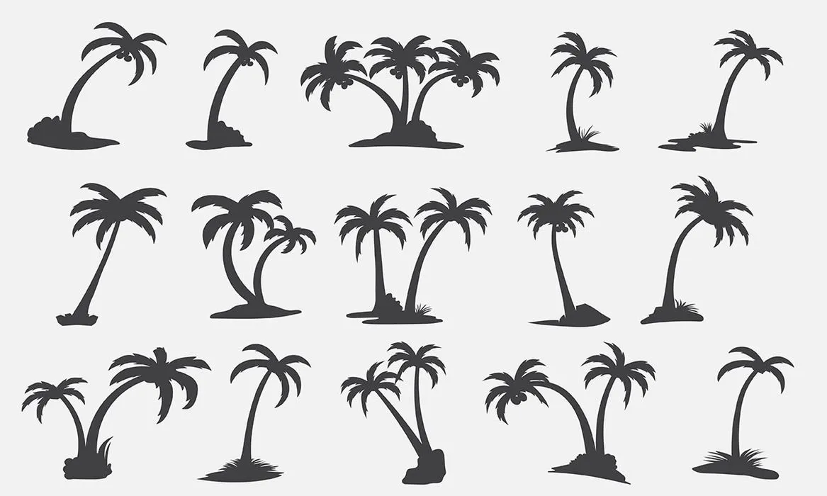 Hình ảnh cây dừa file vector mẫu KS661