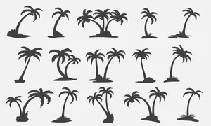 Hình ảnh cây dừa file vector mẫu KS661