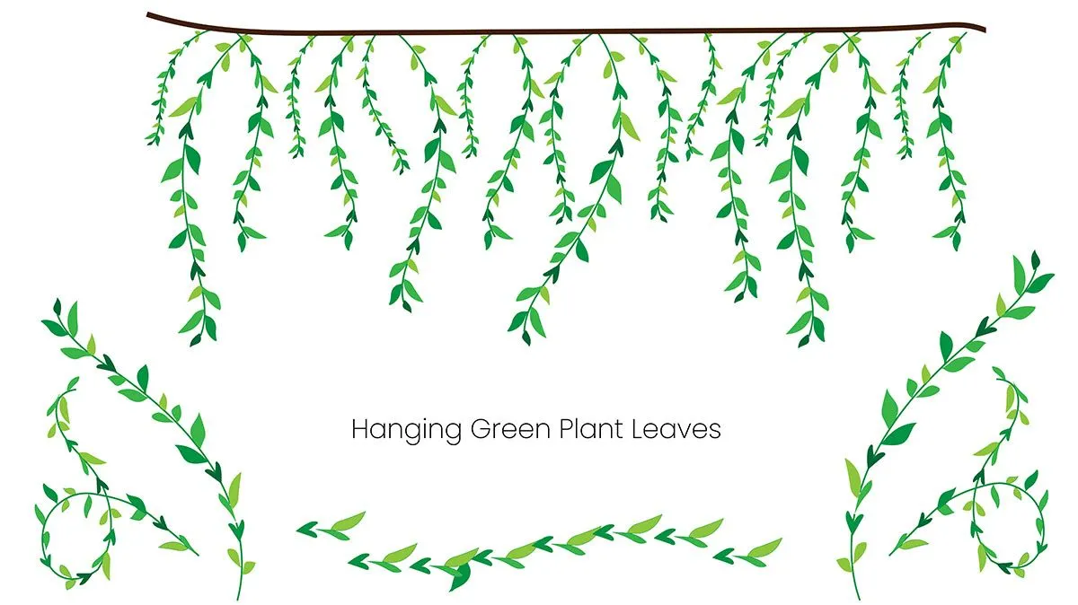 Cành Lá Xanh Treo - Hình Minh Họa Vector EPS Đa Năng