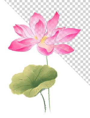 Hình ảnh bông hoa sen và lá file PNG mẫu CR1615