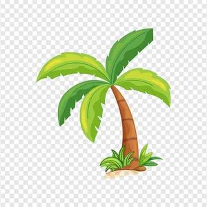 Hình ảnh cây dừa file vector mẫu KS690
