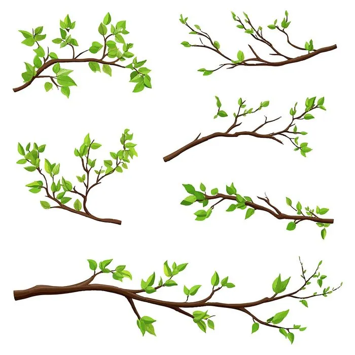 Cành Lá Mùa Xuân Vector - Tải Xuống EPS Chất Lượng Cao