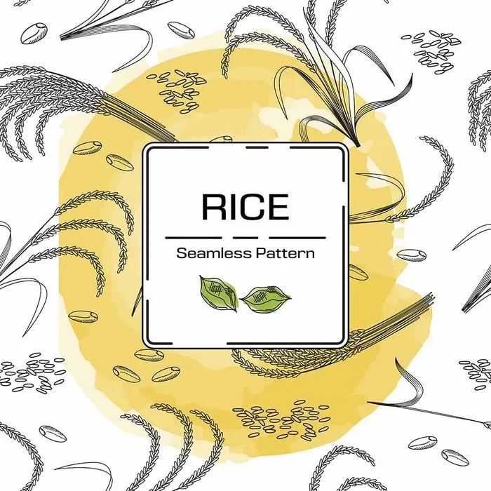 Hình ảnh bông lúa file vector mẫu KS891