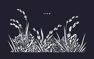 Hình ảnh bông lúa file vector mẫu KS906
