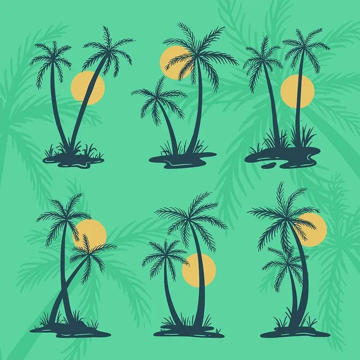 Bộ sưu tập cây dừa file vector mẫu KS596