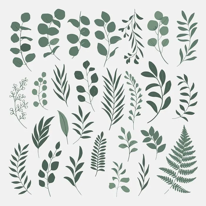 Bộ Cành Lá Xanh Minh Họa EPS - Tải Xuống Miễn Phí